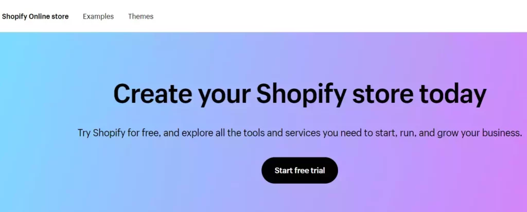 shopify-web-developer